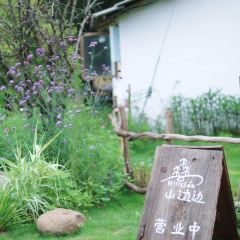 hill side 여행 사진