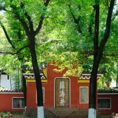 六户人家渔家乐 User Photo