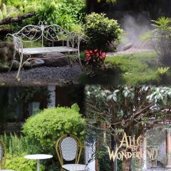 屋頂咖啡·日落甜茶·雪山花園 ·bistro張用戶圖片
