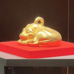 SUN JIA LONG XIA User Photo