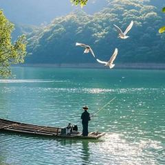 WU SHI SHAO KAO User Photo