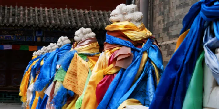 杜爾伯特風味(統建路三店)