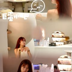 河源春沐源小镇·棕榈树酒店·Papa Razzi西餐厅 User Photo