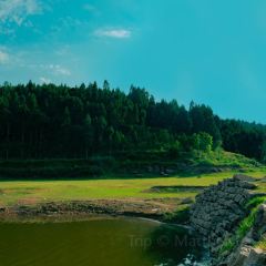 Zhan yi gong shi la zi Chicken (zhan yi) User Photo