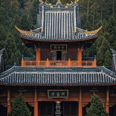 MIAO ZHUANG DE GUO JI User Photo