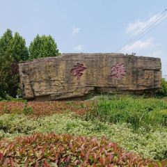 仁记海鲜餐厅 User Photo