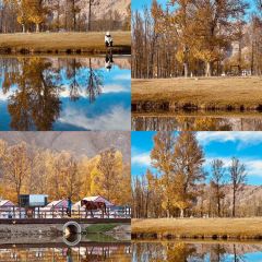 如意林卡銅鍋犛牛肉（布達拉宮店）張用戶圖片