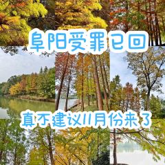 铁锅年代(天台店) User Photo