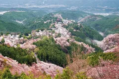 金峯山寺で花供懺法会を開催 | Trip.com 吉野町