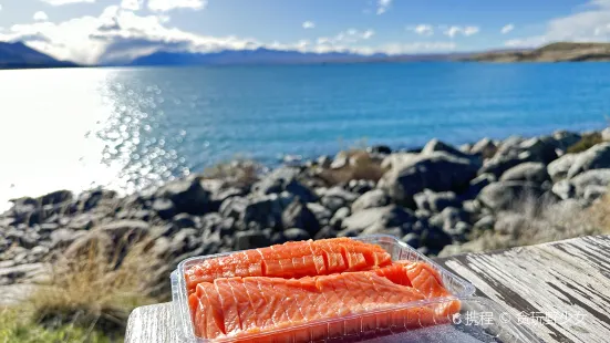 Mount Cook Alpine Salmon