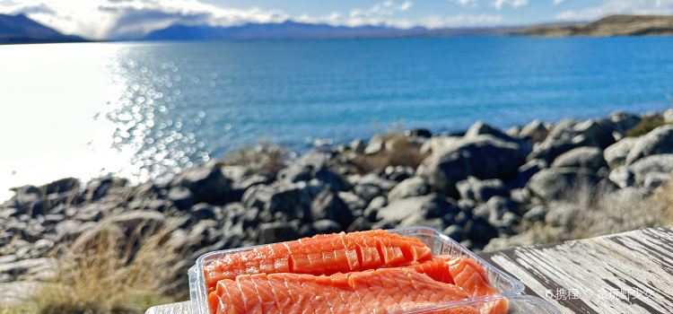 Mount Cook Alpine Salmon
