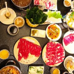 더 불 여행 사진