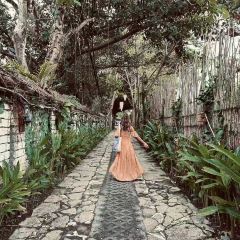 PENNY LANE User Photo