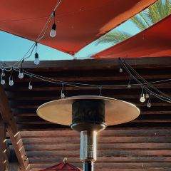 Lazy Dog Restaurant & Bar User Photo