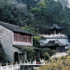 江大小后街張用戶圖片