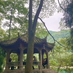 柒月麓山 여행 사진