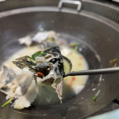 方英猪蹄(千岛湖店) User Photo