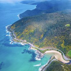 Great Ocean Road Chocolaterie & Ice Creamery張用戶圖片
