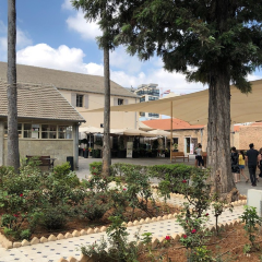 Social Club User Photo