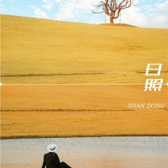 咖啡与树 User Photo