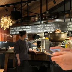 Mr Willis User Photo