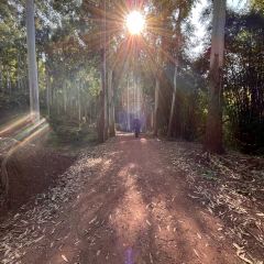 山涧别院 User Photo