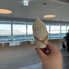 FaSoLa 카페 여행 사진