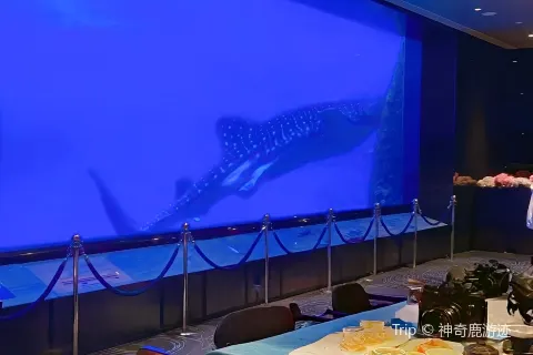 Ocean Beauty Restaurant