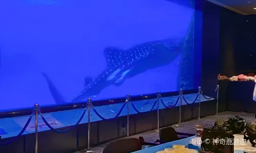 Ocean Beauty Restaurant