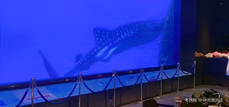 Ocean Beauty Restaurant