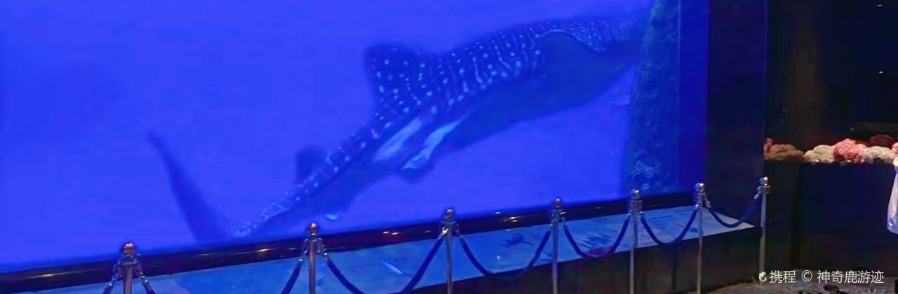 長隆海底餐廳（長隆海洋王國店）