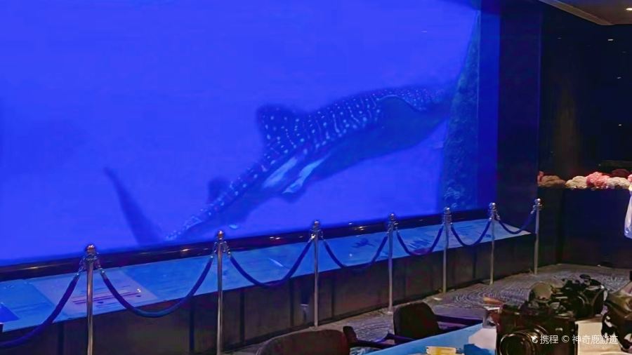 Ocean Beauty Restaurant