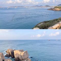 鱼当家 User Photo