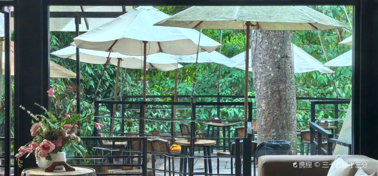 Jungle De Cafe
