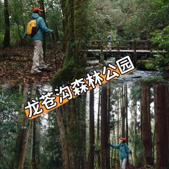 荥经龙苍景园民宿(龙苍沟国家森林公园店)·农家乐 여행 사진
