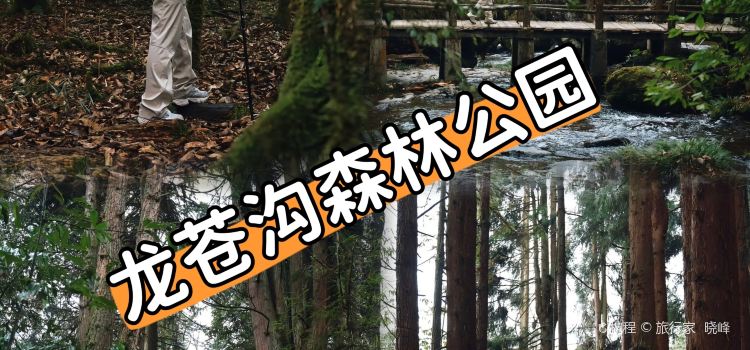 荥经龙苍景园民宿(龙苍沟国家森林公园店)·农家乐