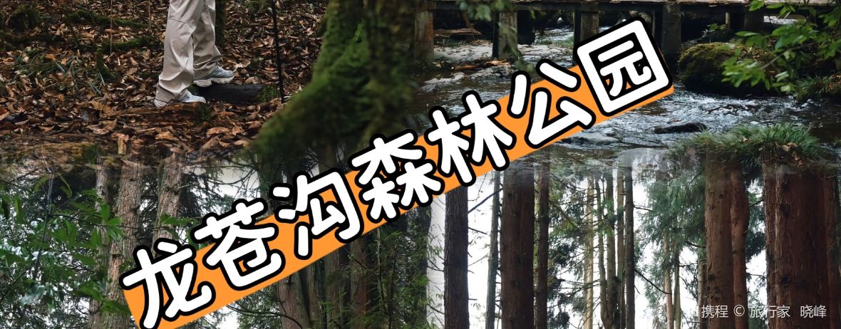 荥经龙苍景园民宿(龙苍沟国家森林公园店)·农家乐