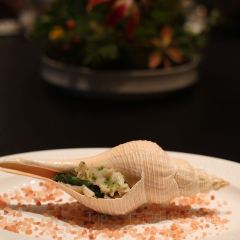 问山海 User Photo