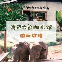 Elefin Farm & Cafe เอเลฟิน ฟาร์ม แอนด์ คาเฟ่ User Photo