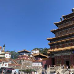 杏好遇见你(总店) User Photo