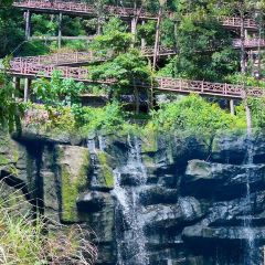 云起草堂(白云山森林公园店) User Photo