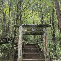 武夷山麦当劳仙凡界路得来速餐厅 User Photo