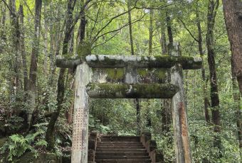 武夷山麦当劳仙凡界路得来速餐厅 User Photo