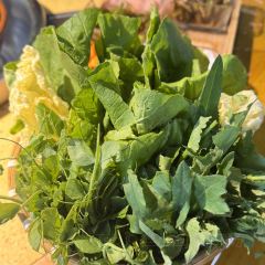 贵丰牛魔王靓汤坊(金水路三街店) User Photo