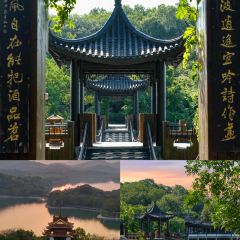 YU YAN LOU User Photo