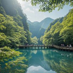 义远有机农场餐厅 User Photo