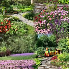 老马家羊杂碎店 User Photo