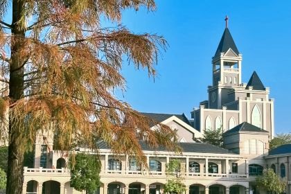 XING JI SUGAR CANE ICE