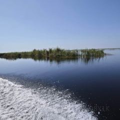 Baijiazhaobing User Photo