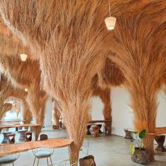 House of Benedict Pattaya User Photo